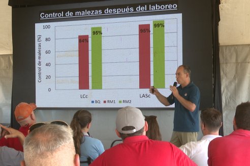 1° Jornada A Campo Abierto de Giorgi - Campo El Destino - Zavalla, Santa Fe