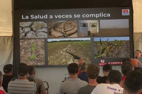 1° Jornada A Campo Abierto de Giorgi - Campo El Destino - Zavalla, Santa Fe