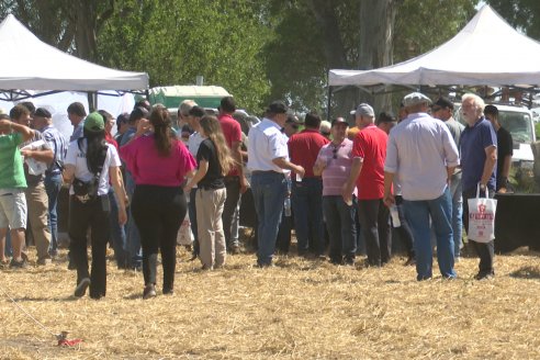 1° Jornada A Campo Abierto de Giorgi - Campo El Destino - Zavalla, Santa Fe