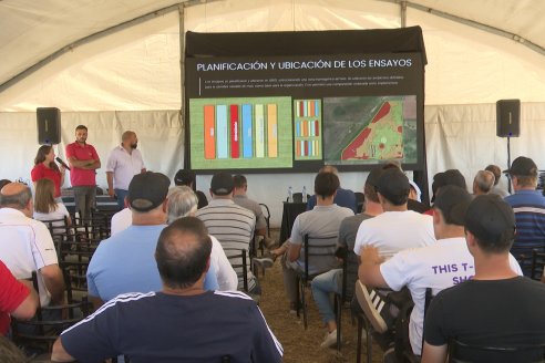 1° Jornada A Campo Abierto de Giorgi - Campo El Destino - Zavalla, Santa Fe