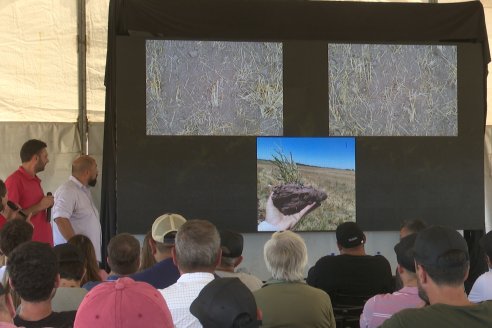 1° Jornada A Campo Abierto de Giorgi - Campo El Destino - Zavalla, Santa Fe