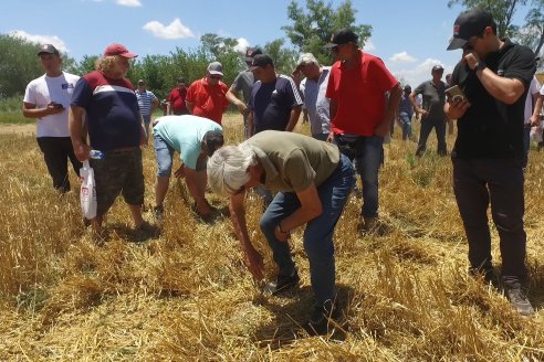 1° Jornada A Campo Abierto de Giorgi - Campo El Destino - Zavalla, Santa Fe