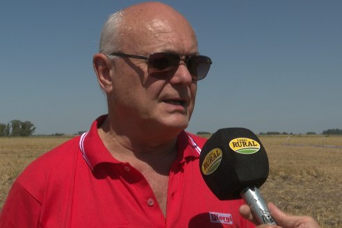 1° Jornada A Campo Abierto de Giorgi - Campo El Destino - Zavalla, Santa Fe