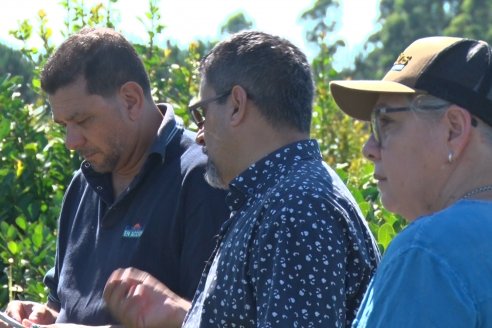 Postales del 99° Aniversario de la Coop. Agricola de la Colonia Liebig Ltda - Programa Especial para LAS y Cosecha de Yerba Mate