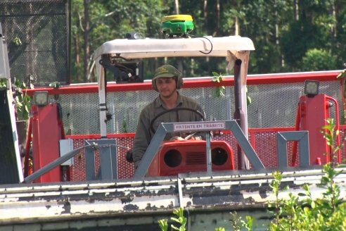 Postales del 99° Aniversario de la Coop. Agricola de la Colonia Liebig Ltda - Programa Especial para LAS y Cosecha de Yerba Mate