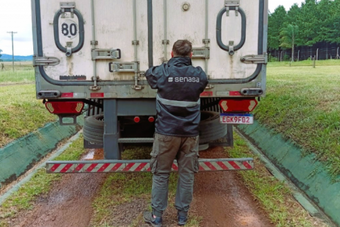 Brasil importa desde Misiones pescados logrados en criaderos