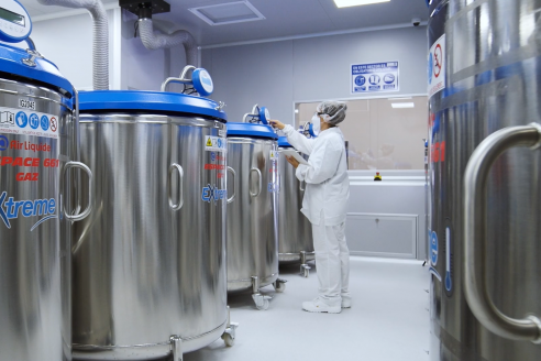 Biogénesis Bagó exportará vacunas para contener la emergencia sanitaria por fiebre aftosa en Sudáfrica