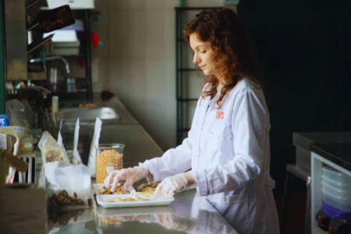 Con hongo comestible desarrollan alimentos funcionales y naturales