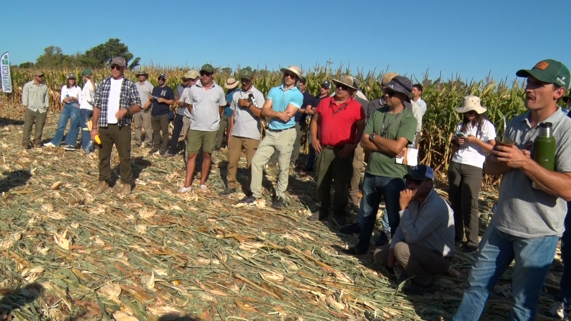 Los ingresos de divisas del agro a la Argentina duplican lo hecho por mineros y petroleros