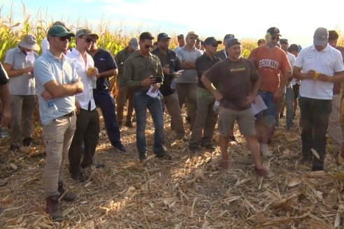 Atractiva jornada de intercambio sobre maíz en Pajonal