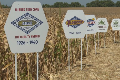 Desde Estab. San Alfonso - Colonia Ensayo: Jornada BRECHAS de Pioneer en Entre Ríos