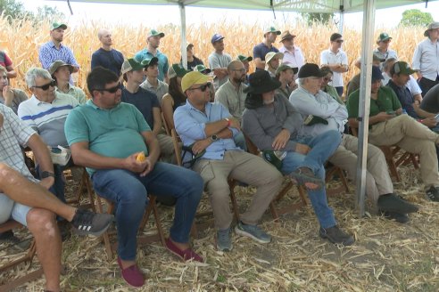 Desde Estab. San Alfonso - Colonia Ensayo: Jornada BRECHAS de Pioneer en Entre Ríos