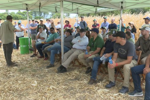 Desde Estab. San Alfonso - Colonia Ensayo: Jornada BRECHAS de Pioneer en Entre Ríos