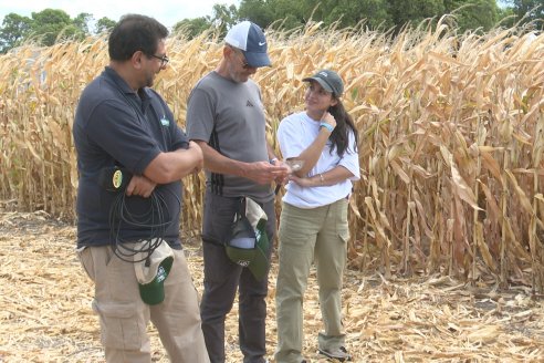 Desde Estab. San Alfonso - Colonia Ensayo: Jornada BRECHAS de Pioneer en Entre Ríos