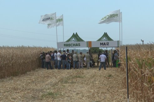 Desde Estab. San Alfonso - Colonia Ensayo: Jornada BRECHAS de Pioneer en Entre Ríos