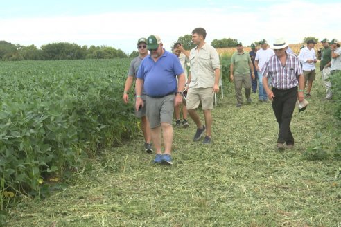 Desde Estab. San Alfonso - Colonia Ensayo: Jornada BRECHAS de Pioneer en Entre Ríos
