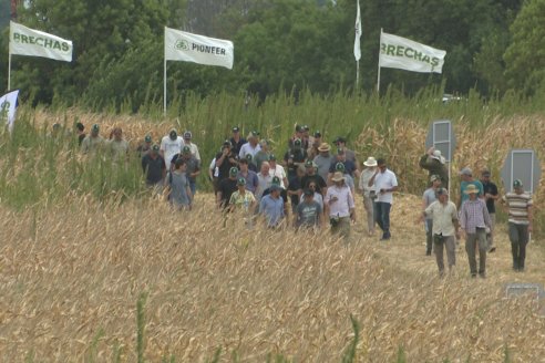 Desde Estab. San Alfonso - Colonia Ensayo: Jornada BRECHAS de Pioneer en Entre Ríos