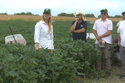 Desde Estab. San Alfonso - Colonia Ensayo: Jornada BRECHAS de Pioneer en Entre Ríos