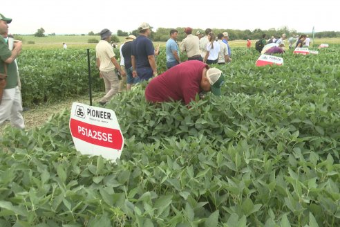 Desde Estab. San Alfonso - Colonia Ensayo: Jornada BRECHAS de Pioneer en Entre Ríos