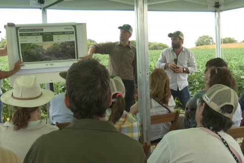 Desde Estab. San Alfonso - Colonia Ensayo: Jornada BRECHAS de Pioneer en Entre Ríos