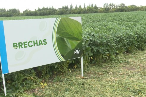 Desde Estab. San Alfonso - Colonia Ensayo: Jornada BRECHAS de Pioneer en Entre Ríos
