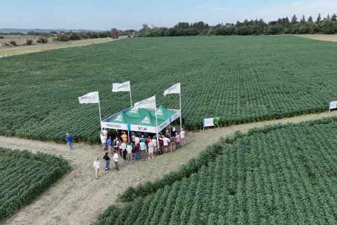 Desde Estab. San Alfonso - Colonia Ensayo: Jornada BRECHAS de Pioneer en Entre Ríos