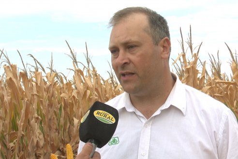 Desde Estab. San Alfonso - Colonia Ensayo: Jornada BRECHAS de Pioneer en Entre Ríos