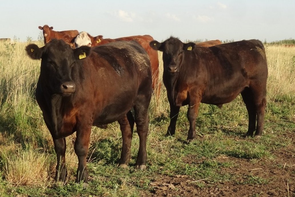 Es el valor más alto de los registros modernos