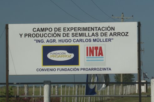 Postales del Día de Campo de Arroz de Fundación Proarroz - San Salvador, Entre Ríos