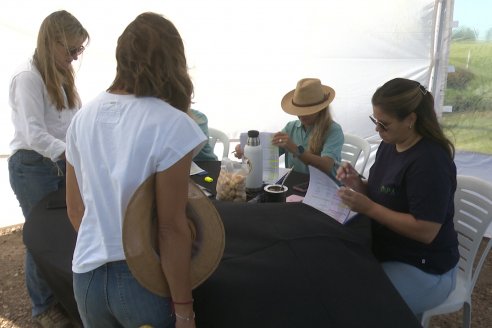 Postales del Día de Campo de Arroz de Fundación Proarroz - San Salvador, Entre Ríos