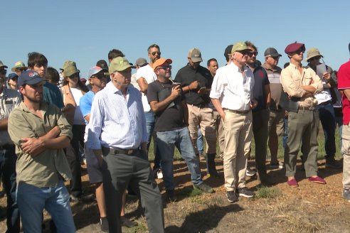 Postales del Día de Campo de Arroz de Fundación Proarroz - San Salvador, Entre Ríos