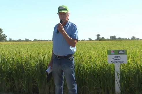 Postales del Día de Campo de Arroz de Fundación Proarroz - San Salvador, Entre Ríos