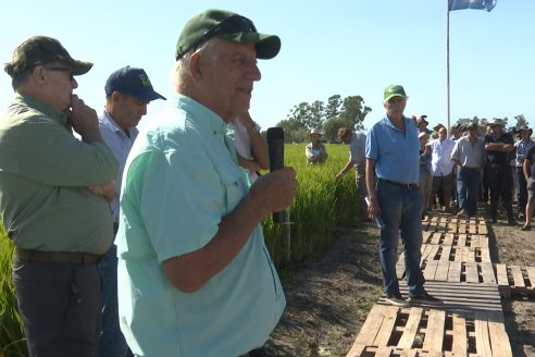 Postales del Día de Campo de Arroz de Fundación Proarroz - San Salvador, Entre Ríos