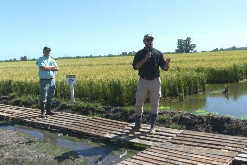 Postales del Día de Campo de Arroz de Fundación Proarroz - San Salvador, Entre Ríos
