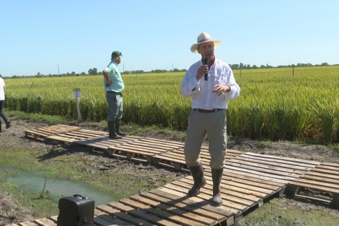 Postales del Día de Campo de Arroz de Fundación Proarroz - San Salvador, Entre Ríos