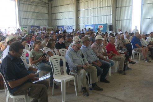 Postales del Día de Campo de Arroz de Fundación Proarroz - San Salvador, Entre Ríos