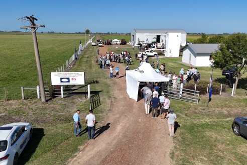 Postales del Día de Campo de Arroz de Fundación Proarroz - San Salvador, Entre Ríos