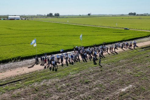 Postales del Día de Campo de Arroz de Fundación Proarroz - San Salvador, Entre Ríos