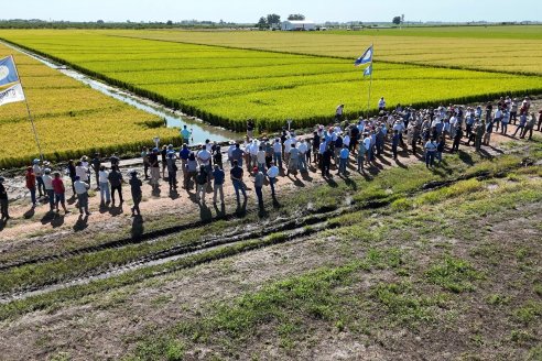 Postales del Día de Campo de Arroz de Fundación Proarroz - San Salvador, Entre Ríos