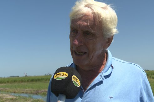 Postales del Día de Campo de Arroz de Fundación Proarroz - San Salvador, Entre Ríos