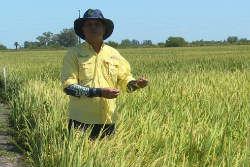 El día de campo de los arroceros puso en valor el potencial de una economía regional histórica que se consolida