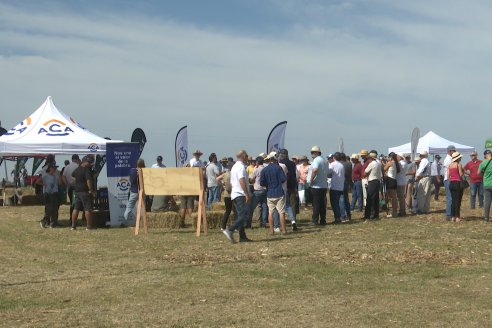 Primera Expo La Ganadera - Establecimiento El Solar - Ramirez, Entre Ríos
