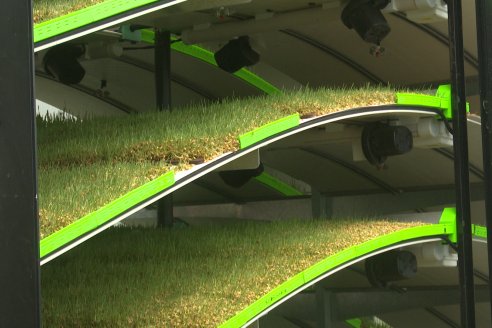 Primera Expo La Ganadera - Establecimiento El Solar - Ramirez, Entre Ríos