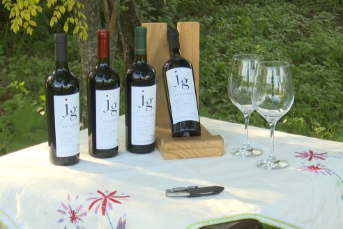 Jornada de Vendimia en Bodega Juan Girbich - Aldea Jacobi, Entre Ríos
