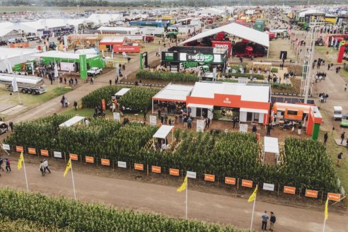 El liderazgo maicero presente con foco en la aptitud silera y la nueva genética