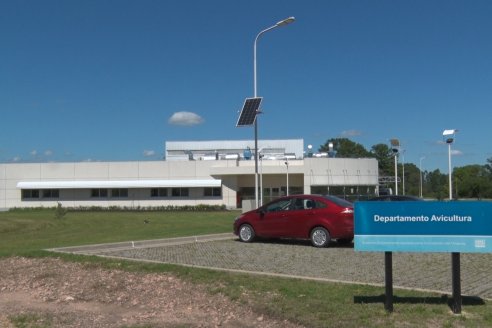 1° Tour Productivo 2026 de AEPA - Visita a la EEA INTA C.del Uruguay