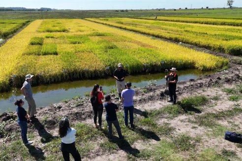 1° Tour Productivo 2026 de AEPA - Visita a la EEA INTA C.del Uruguay