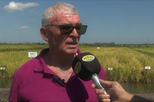 1° Tour Productivo 2026 de AEPA - Visita a la EEA INTA C.del Uruguay