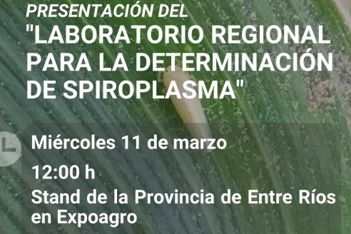 Lanzamiento de laboratorio regional para la determinación de Spiroplasma