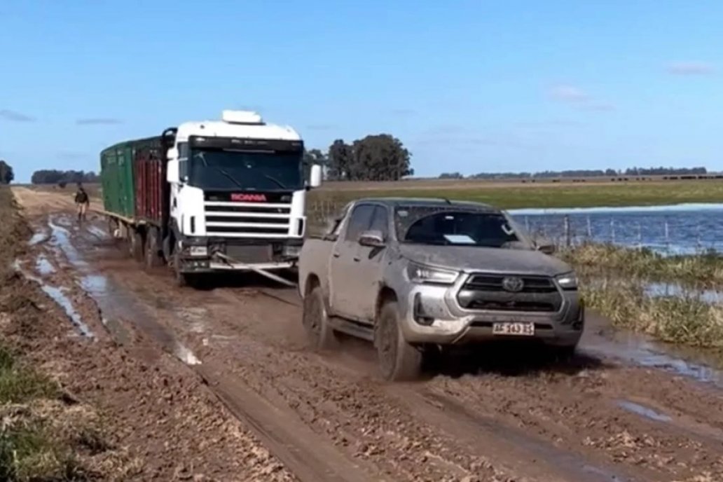 La Toyota Hilux volvió a liderar tanto el segmento como la tabla general